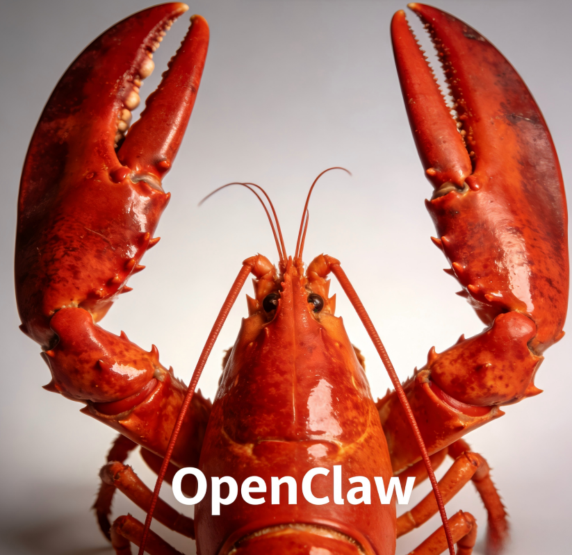  AI 龙虾炸翻全网！深圳龙岗甩出「龙虾十条」，倍联德&ldquo;龙虾&rdquo;工作站一体机，本地部署才是真风口!